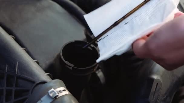 Close up of human hand checking engine oil level with special stick. Repair working. — Stock Video