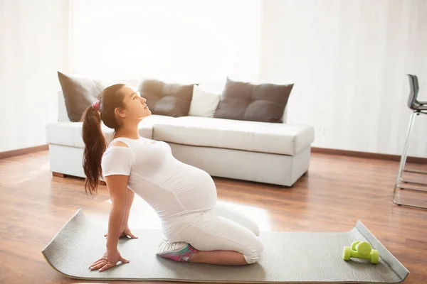 Hamile bir kadın evdeki yoga minderinde egzersiz yapıyor. Hamilelik ve spor. Hamile kadınlar için Oga ve Pilates. Hamileliğin üçüncü üç ayı