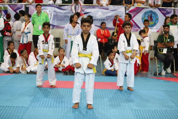 Bangkok Thailand Juli 2018 Taekwondo Utövare Gör Freestyle Poomsae Eller — Stockfoto