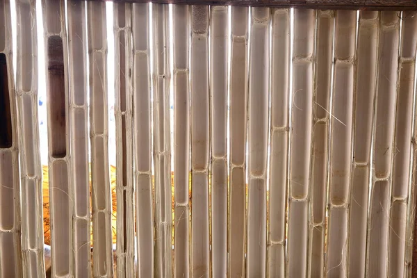 Візерунок Бамбукового Фону Розрізаного Навпіл Зробивши Стіну Абстрактний Вигляд Плем — стокове фото