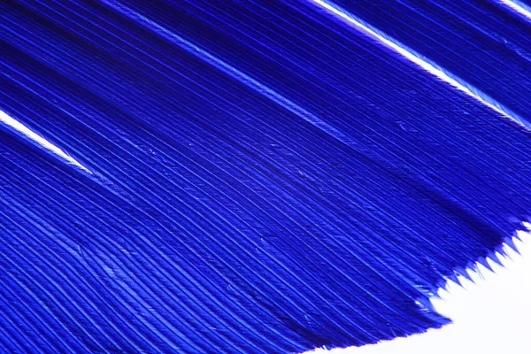 Blue Color Feather Makrodetails Jeder Dünnen Linie Konzept Der Freiheit — Stockfoto