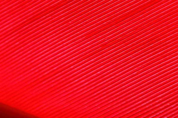 Dichte Der Roten Farbe Feder Makrodetails Jeder Dünnen Linie Konzept — Stockfoto