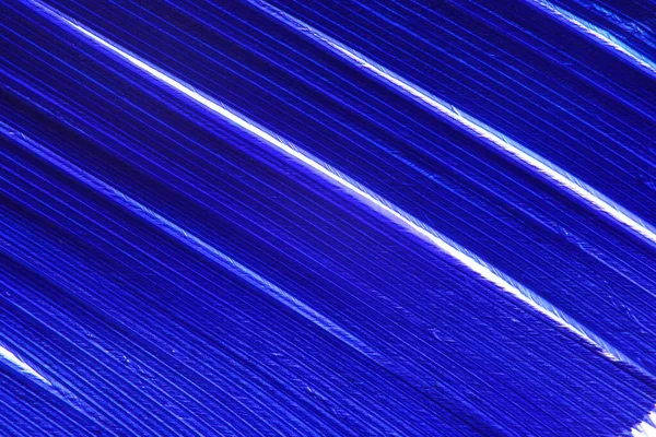 Blue Color Feather Macro Detail Van Elke Dunne Lijn Concept — Stockfoto