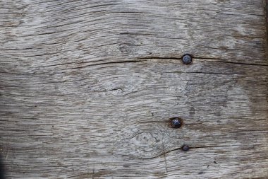 Ahşap Yüzey, Eski Ağaç Kabuğu metin ve logo için kopyalama alanı