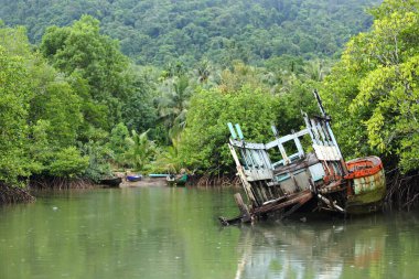 Antika Bataklık Teknesi ve Mangrove ormanlarında kırılmış, yağmurlu bir gün.