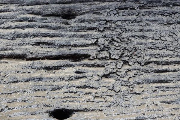 Wood Sheet Underwater Wet Mud Soil — Stock Photo, Image