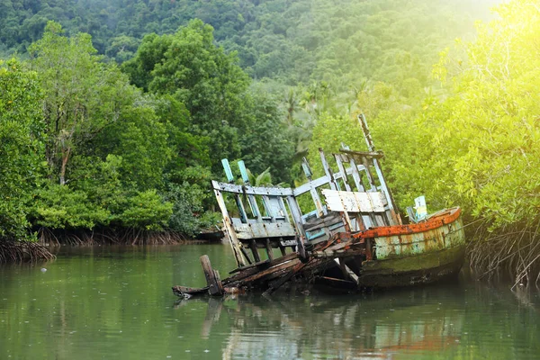 Vintage Sink Boat and broken in Mangrove forest, rainy day