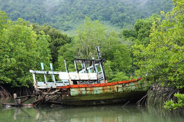 Vintage Sink Boat and broken in Mangrove forest, rainy day