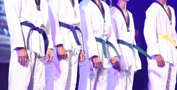 Taekwando Team perform on entertainment stage to show team work,  Many age size of kid run to ramp in group with colorful lighting as opening show and run in teamwork, Blue, Yellow master belt