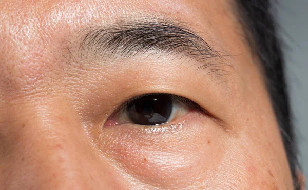 Closeup macro portrait of man eye, Human male open brown eyes with day beauty makeup. Middle age man 40s with perfect acne wart skin and deep freckles.