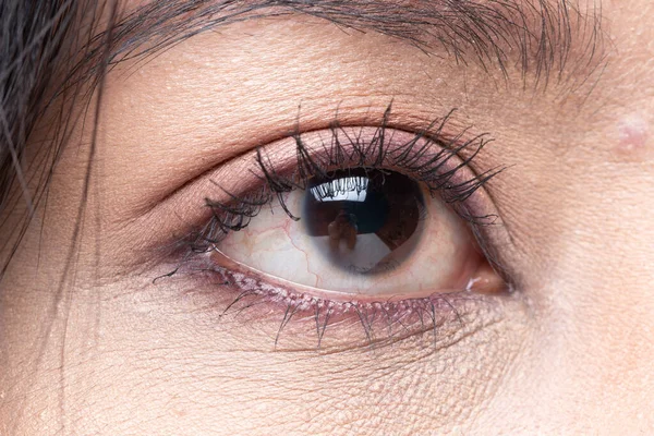 Kadın Gözünün Yakın Çekim Makro Portresi Insan Dişi Açık Kahverengi — Stok fotoğraf