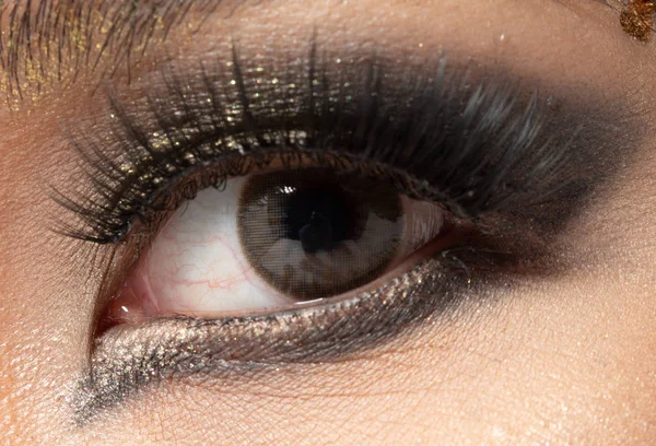 Zbliżenie Makro Portret Kobiety Oko Człowiek Kobieta Otwarte Brązowe Oczy — Zdjęcie stockowe