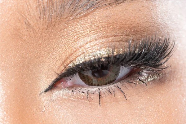 Closeup Macro Portrait Woman Eye Human Female Open Brown Eyes — Stock Photo, Image