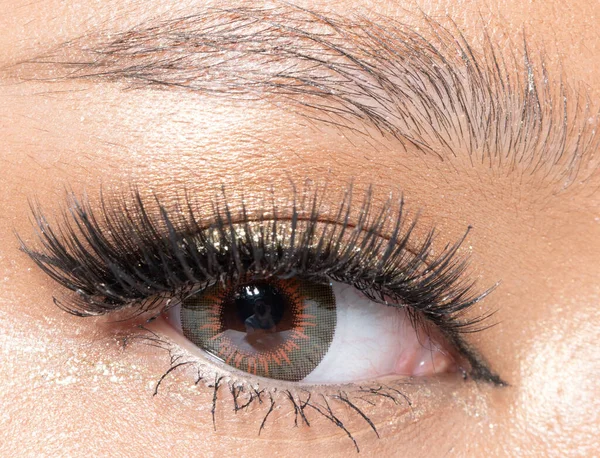 Closeup Macro Portrait Woman Eye Human Female Open Brown Eyes — Stock Photo, Image