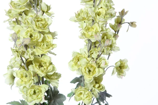 Bouquet Verde Molti Tipi Fiore Vaso Colonna Romana Artificiale Illuminazione — Foto Stock