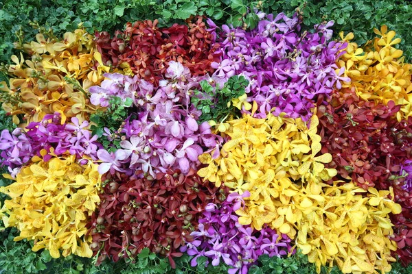 Bouquet Orchidea Colorata Molti Tipi Fiore Sulla Colonna Romana Vaso — Foto Stock