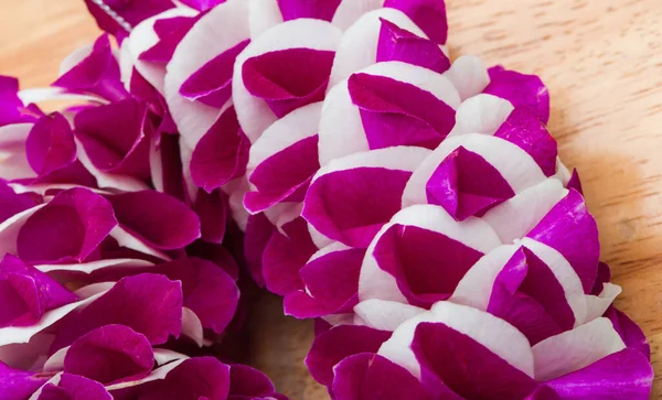 Muchos Púrpura Sombreado Orquídea Flor Pedal Forma Flor Redonda Para — Foto de Stock