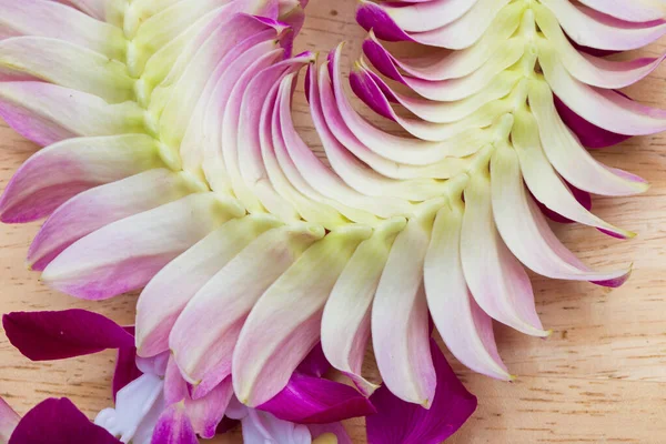 多くの紫色のシェーディング蘭の花手のための円形の花の形でペダルを保持し 木製のテーブルに置かれたブレスレットで繊細なアレンジスキル スタジオ照明白の背景 Malaiという名前 — ストック写真