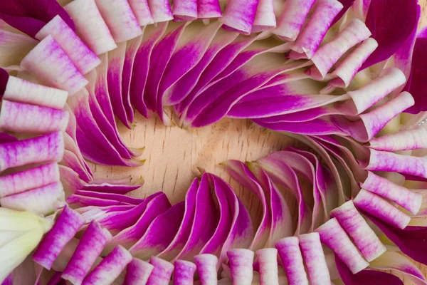 Многие Фиолетовый Оттенок Орхидеи Цветок Педаль Круглый Цветок Форму Рукопожатия — стоковое фото
