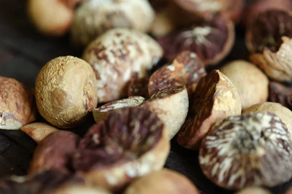 Crack Dried Betel Nut Weaving Rathan Tray Close Selective Focus — стоковое фото