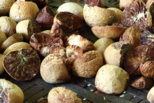 Crack Dried Betel Nut Weaving Rattan Tray Close — Stock Photo, Image