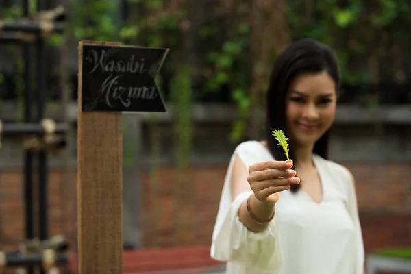 Krásná Asijské Mladá Žena Bílé Krátké Šaty Procházka Bylinné Zahradě — Stock fotografie