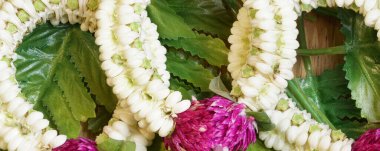 Malai sarısı, kırmızı gül, el ele tutuşmak için beyaz çiçek, yeşil yaprak, dua etmek için makro fotoğraf istiflemek