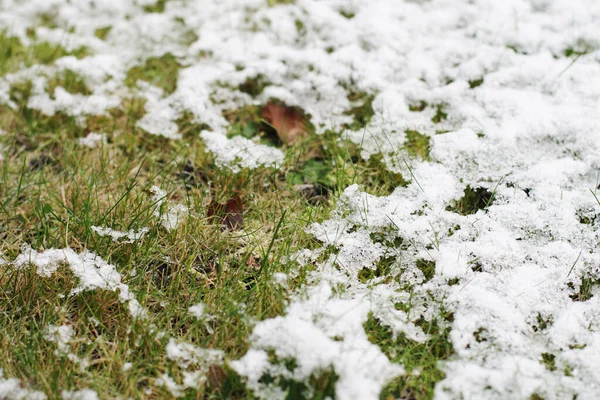 Primera Nieve Paisaje Invierno Cubierto Con Copo Nieve Temprano Hermoso — Foto de Stock