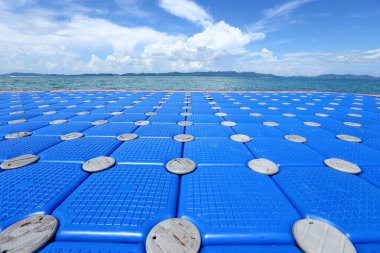 Bir grup Mavi Küp açık okyanusta yüzüyor. Turistler yaz tatilinde tekneden tekneye yürüyerek iniyorlar. Tropikal adaya yeni köprü ve yüzen kenetlenme kavramı