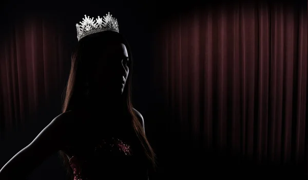 Porträtt Miss Pageant Beauty Contest Paljett Evening Ball Gown Lång — Stockfoto