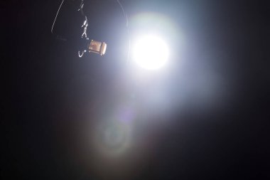 Mikrofon Yoğunlaştırıcı, filtresi olan altın mikrofon karanlık ses stüdyosundaki ses emici duvar odasında asılı duruyor. Düşük çözünürlüklü gölge stüdyo ışıklandırma arka plan kopyalama alanı