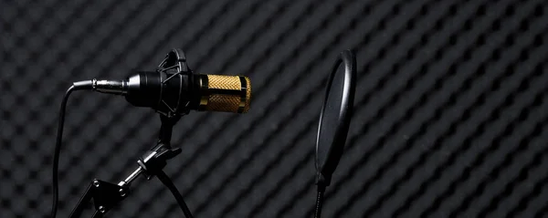 Microphone Condensateur Micro Doré Avec Filtre Accrocher Sur Mur Insonorisant — Photo