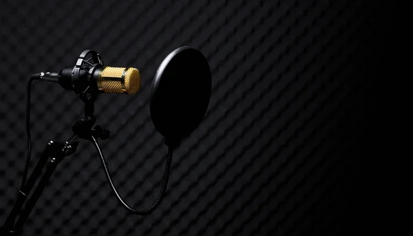 Mikrofon Kondensor Mik Emas Dengan Filter Menggantung Atas Ruang Dinding — Stok Foto