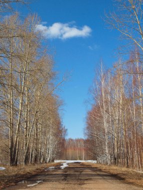 Spring road. Russian spring nature. Russia, Ural, Perm Region     