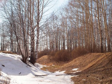 Spring Park, melting snow and ice. Russian spring nature. Russia, Ural, Perm Region     