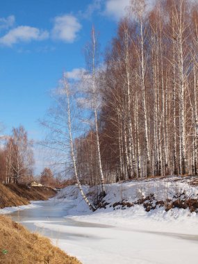 Spring Park, melting snow and ice. Russian spring nature. Russia, Ural, Perm Region         