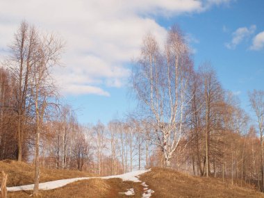 Spring Park, melting snow and ice. Russian spring nature. Russia, Ural, Perm Region        