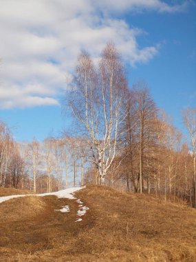 Spring Park, melting snow and ice. Russian spring nature. Russia, Ural, Perm Region       