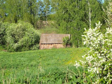 Baharda Rus köyü. Çiçek açan ağaçlar. Bahar, Rusya, Ural, Perma Bölgesi         