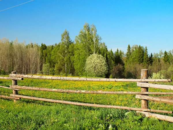 Villaggio Russo Primavera Alberi Fiore Primavera Russia Urali Regione Perm — Foto Stock
