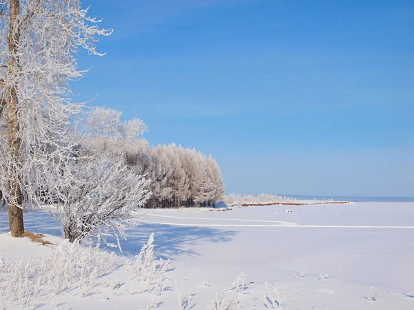 Trees Frost Winter Snow Russian Winter Nature Russia Ural Perm — Stock Photo, Image