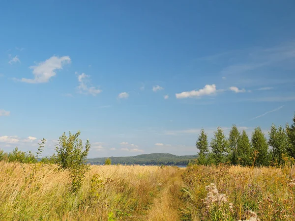 Saha Yolu Rus Yaz Doğası Rusya Ural Perm Bölgesi — Stok fotoğraf