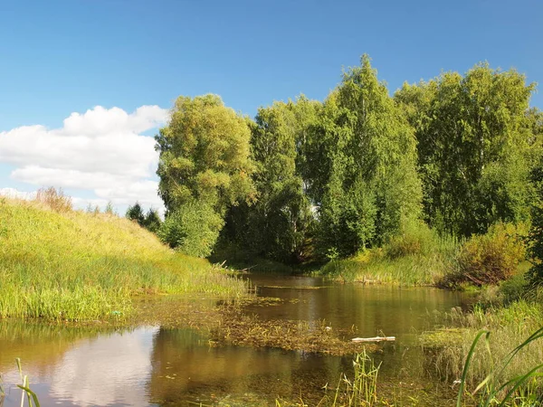 公园里的湖俄罗斯的夏季自然 俄罗斯 乌拉尔 彼尔姆地区 — 图库照片