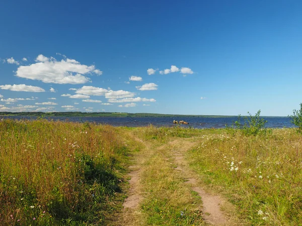 Veldweg Rivier Russische Zomer Natuur Rusland Oeral Perm Regio — Stockfoto