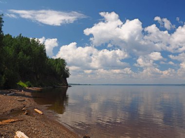 Nehir kenarındaki orman. Nehrin yüzeyi. Rus yaz doğası. Rusya, Ural, Perm bölgesi