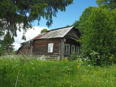 Eski ahşap terk edilmiş ev. Yaz manzarası. Rusya, Ural