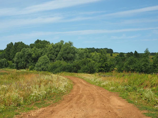 Польова Дорога Російська Літня Природа Росія Урал Пермська Область — стокове фото