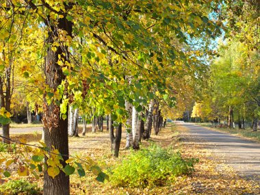 Sonbaharda eski bir sokak. Rus sonbahar doğası. Rusya, Ural, Perm bölgesi