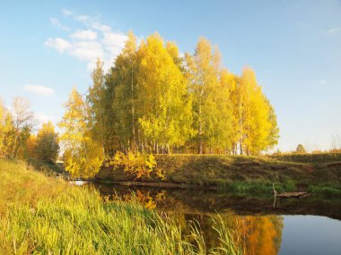 Sonbahar parkı, ağaçlar, nehir koyunda. Rus sonbahar doğası. Rusya, Ural, Perm bölgesi