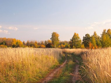 Sonbahar ormanı, köy yolu, tarla. Rus sonbahar doğası. Rusya, Ural, Perm bölgesi